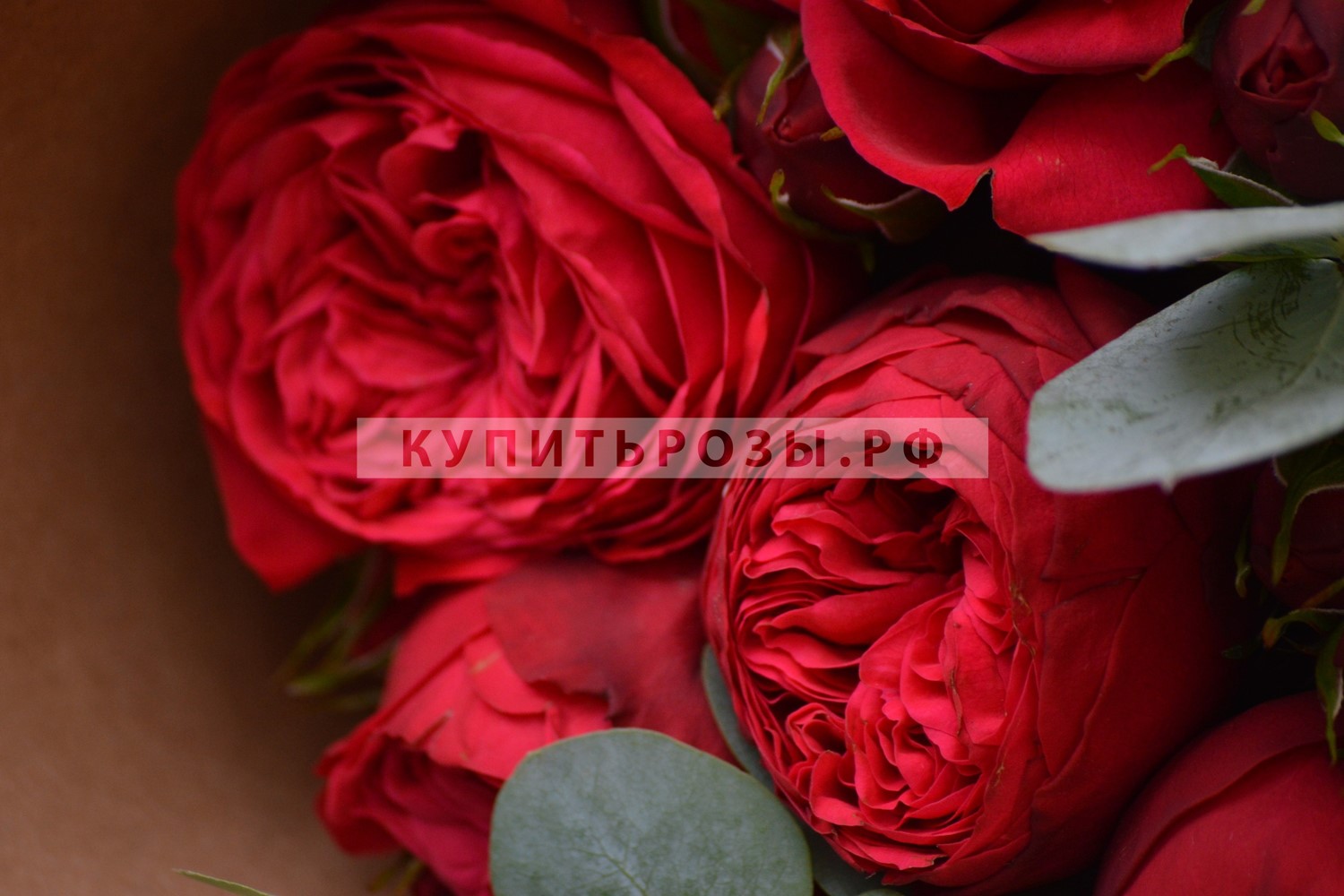 Букет роз Пикадилли